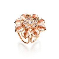uploads/erp/collection/images/Fashion Jewelry/DaiLu/XU0282331/img_b/img_b_XU0282331_2_XxIllpJ8tK3UyEo65u-42d-Cy4bnv-3a